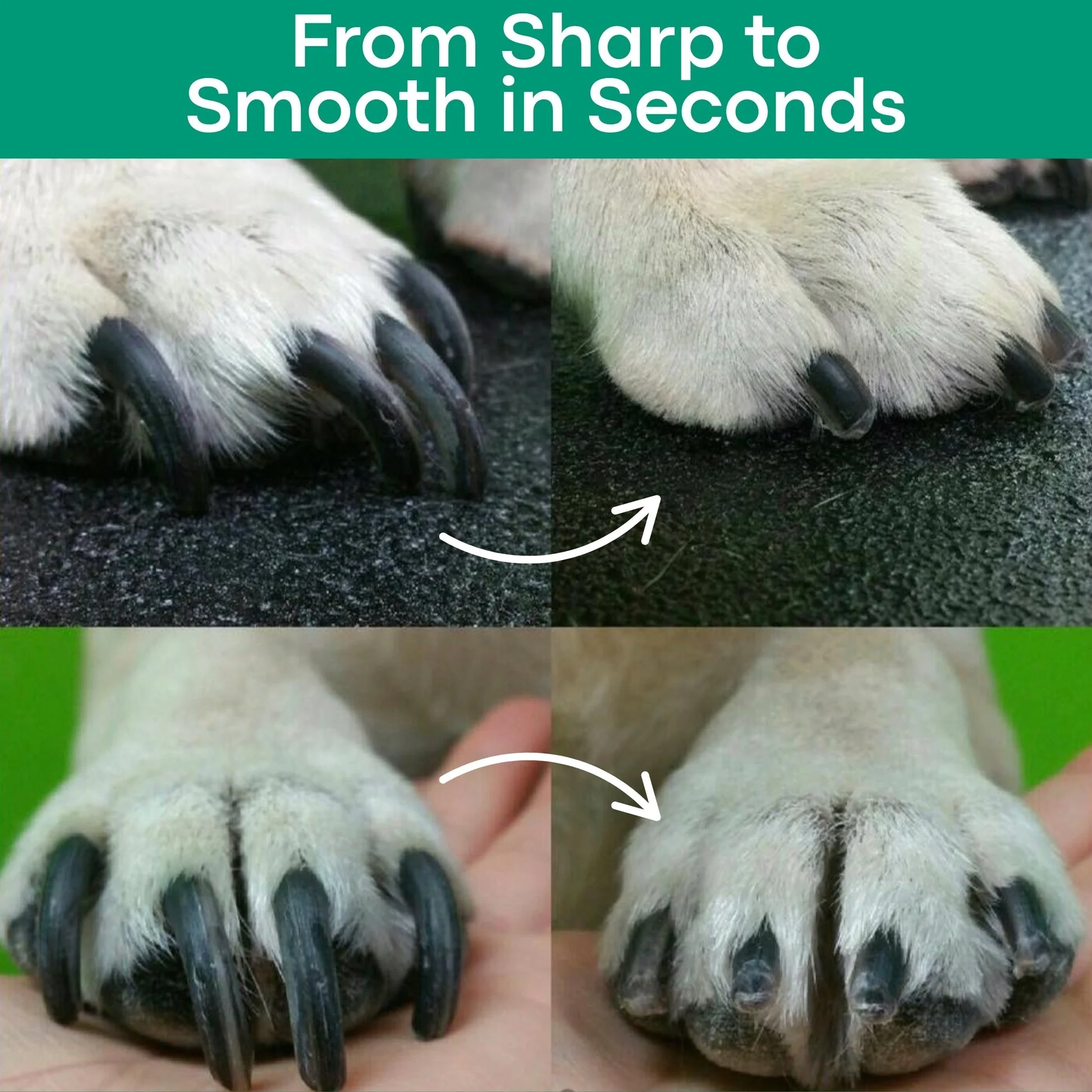 2-in-1 dog nail grinder and clipper - Image 5