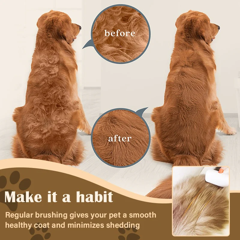 š„2026 SALE - 2-IN-1 Pet Self-Detangling & Grooming Comb - Image 2