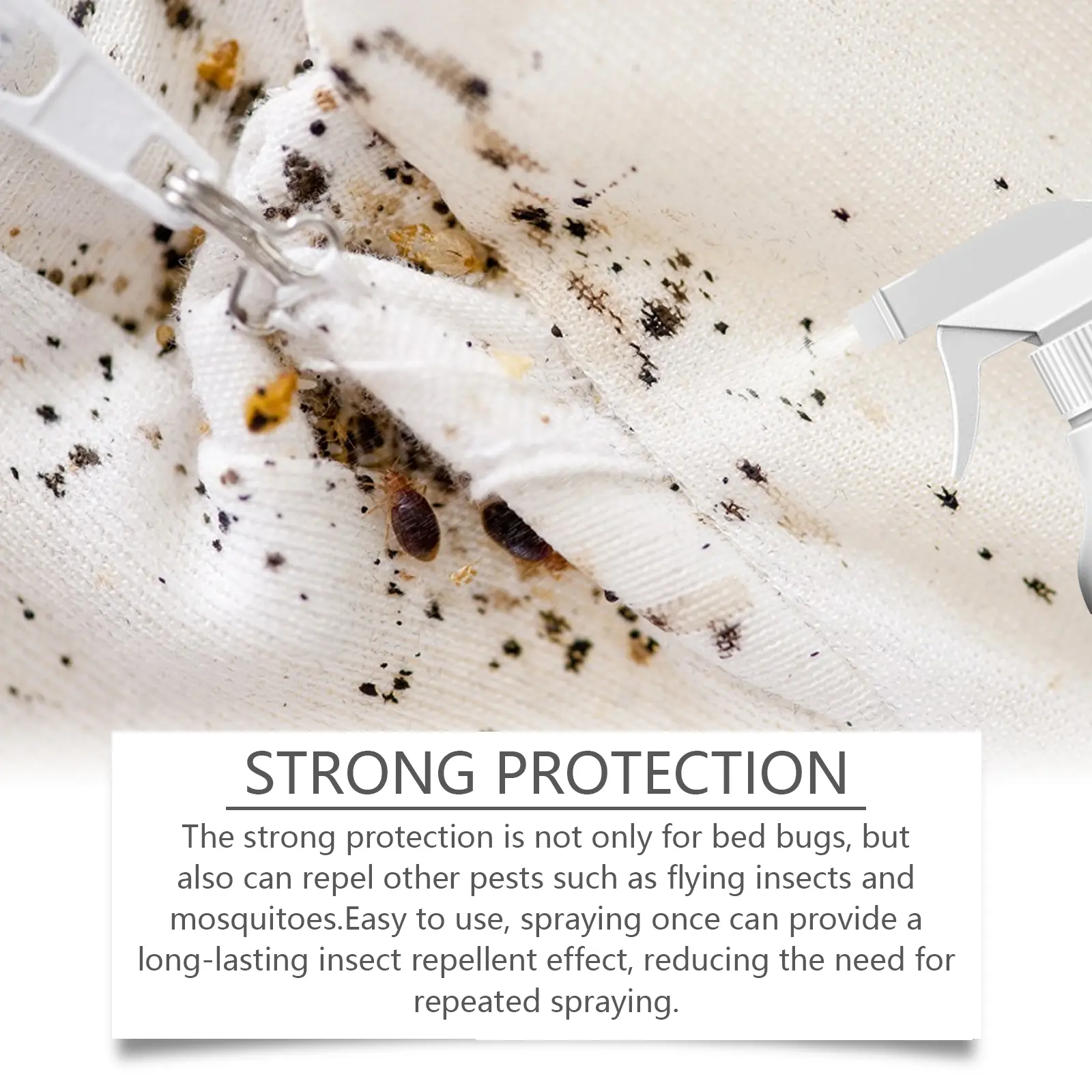 🔥Bed Bug Killer Spray — Kills Bed Bugs on Contact & Eggs — Natural Plant-Based Formula - Image 2
