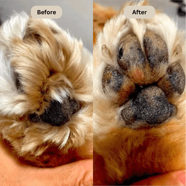Tiktrove⢠Electric Fur Trimmer - Image 10