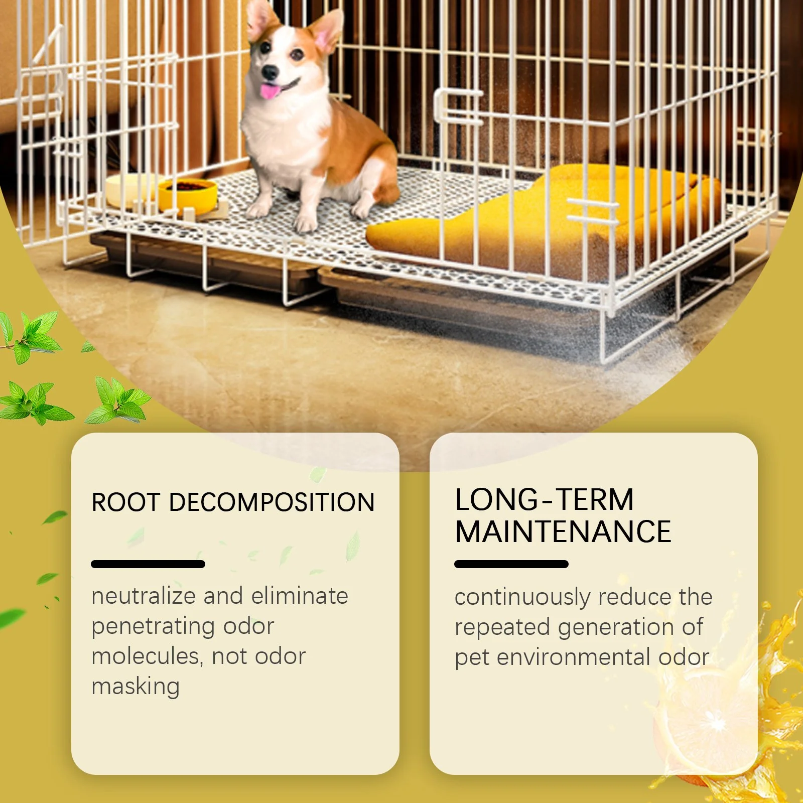 Kennel Odor Eliminator 🍑  Concentrate – Non-Enzymatic, Apricot & Fresh Scents for Tough Pet Odors - Image 7