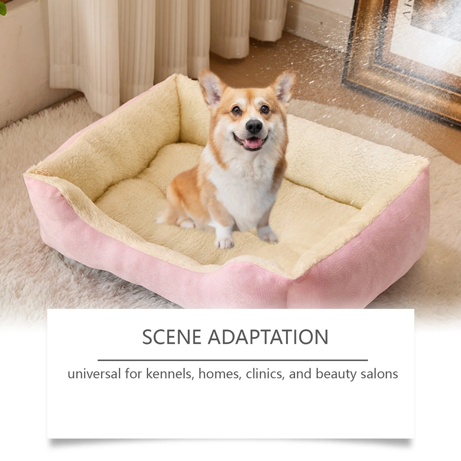 Kennel Odor Eliminator 🍑  Concentrate – Non-Enzymatic, Apricot & Fresh Scents for Tough Pet Odors - Image 9