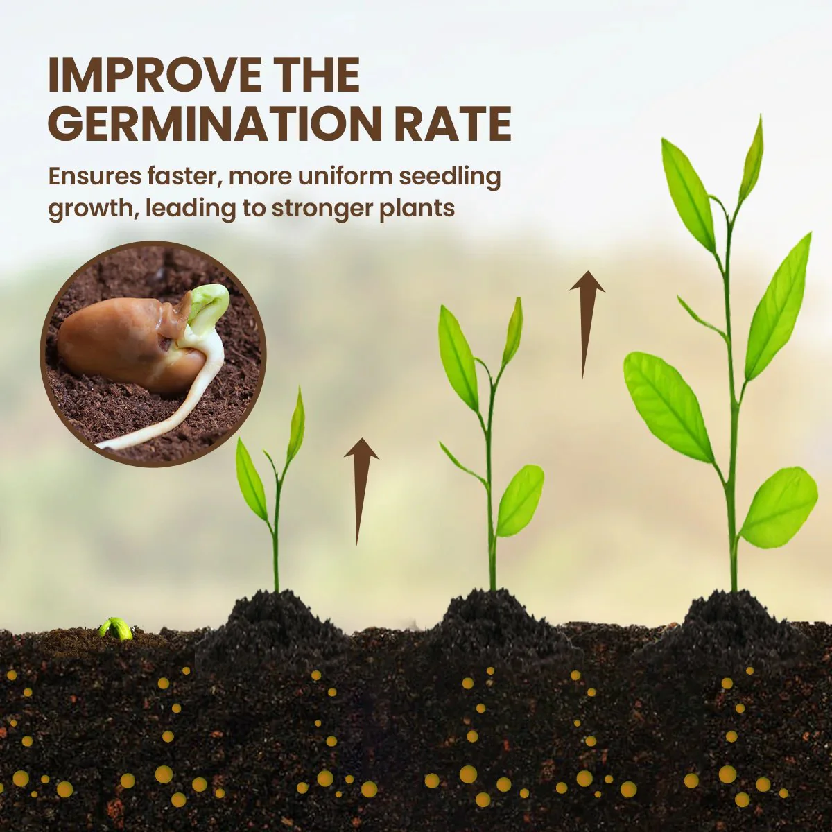 š„Seasonal Promotionš„-Soil Pro Activator - Image 2