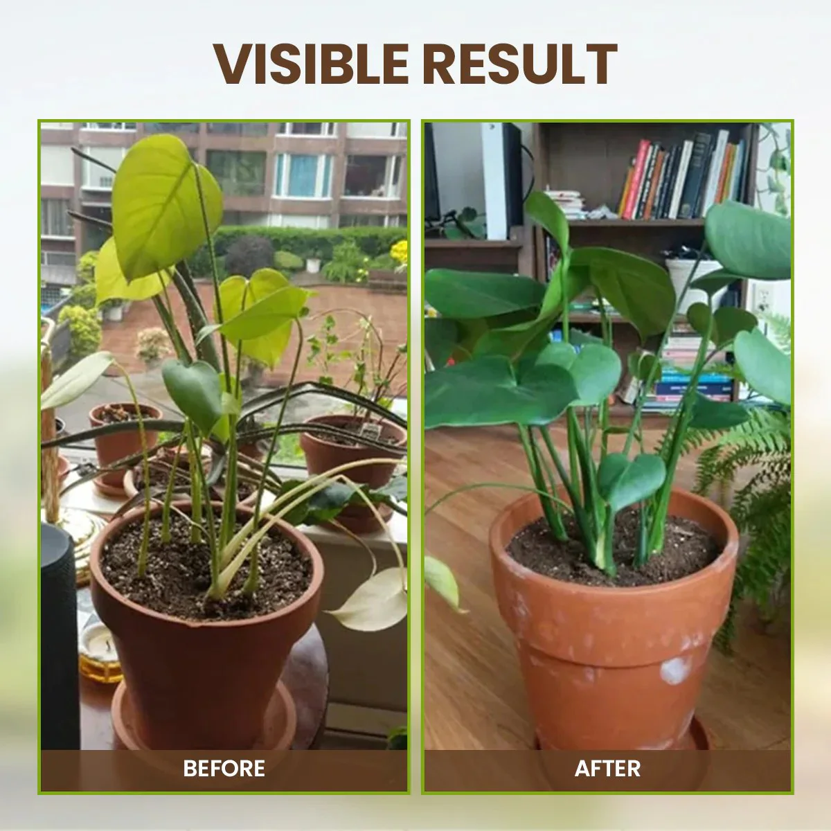 š„Seasonal Promotionš„-Soil Pro Activator - Image 6