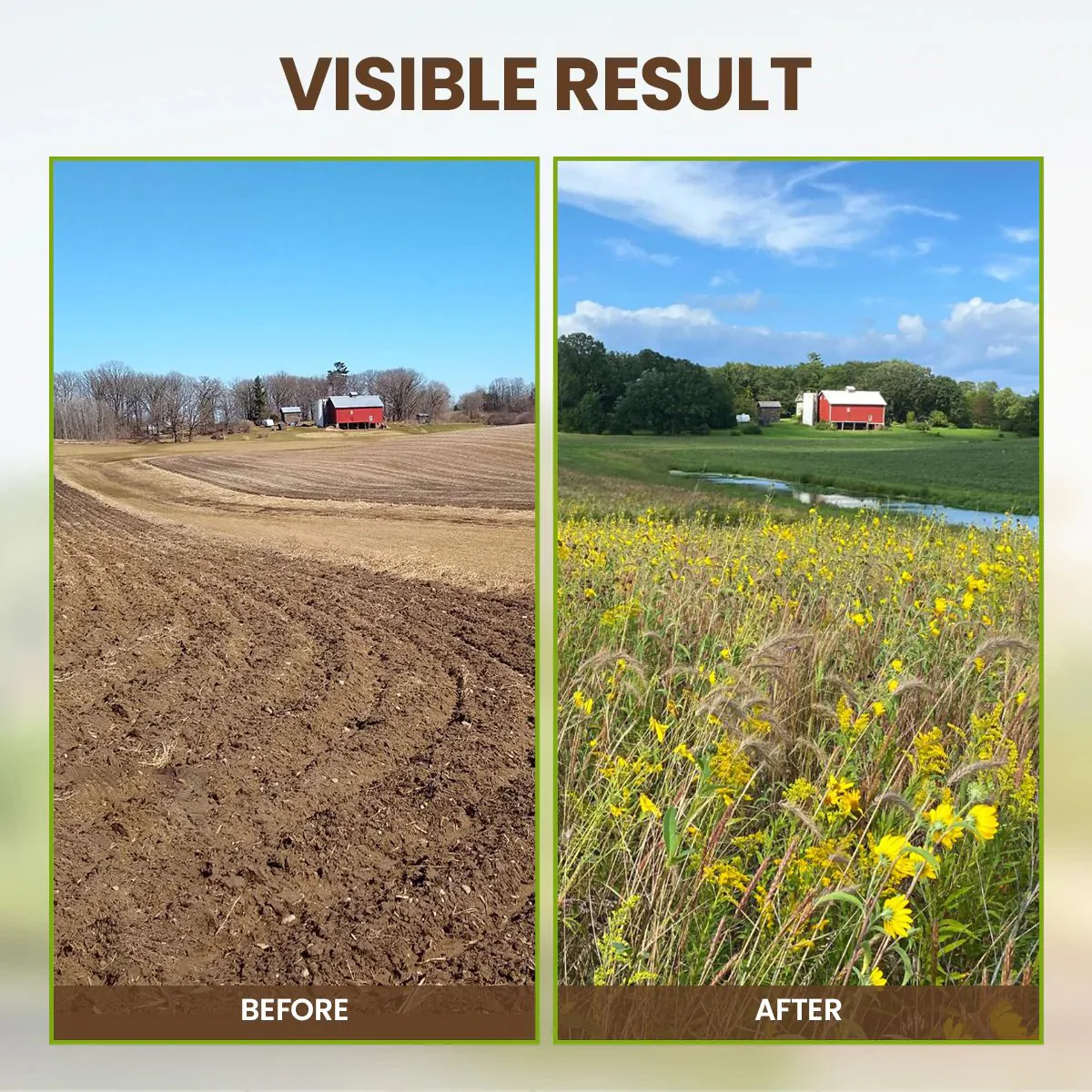 š„Seasonal Promotionš„-Soil Pro Activator - Image 7