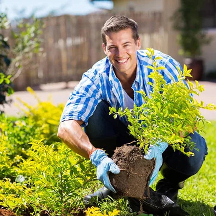 š„Seasonal Promotionš„-Soil Pro Activator - Image 8