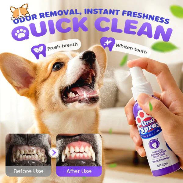 🔥Teeth Cleaning Spray for Pets