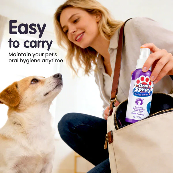 🔥Teeth Cleaning Spray for Pets - Image 2