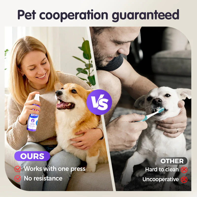 🔥Teeth Cleaning Spray for Pets - Image 4