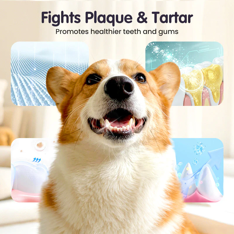 🔥Teeth Cleaning Spray for Pets - Image 5