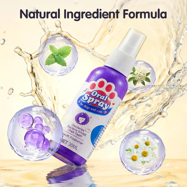 🔥Teeth Cleaning Spray for Pets - Image 6