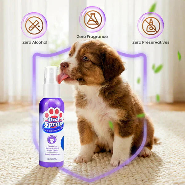 🔥Teeth Cleaning Spray for Pets - Image 8