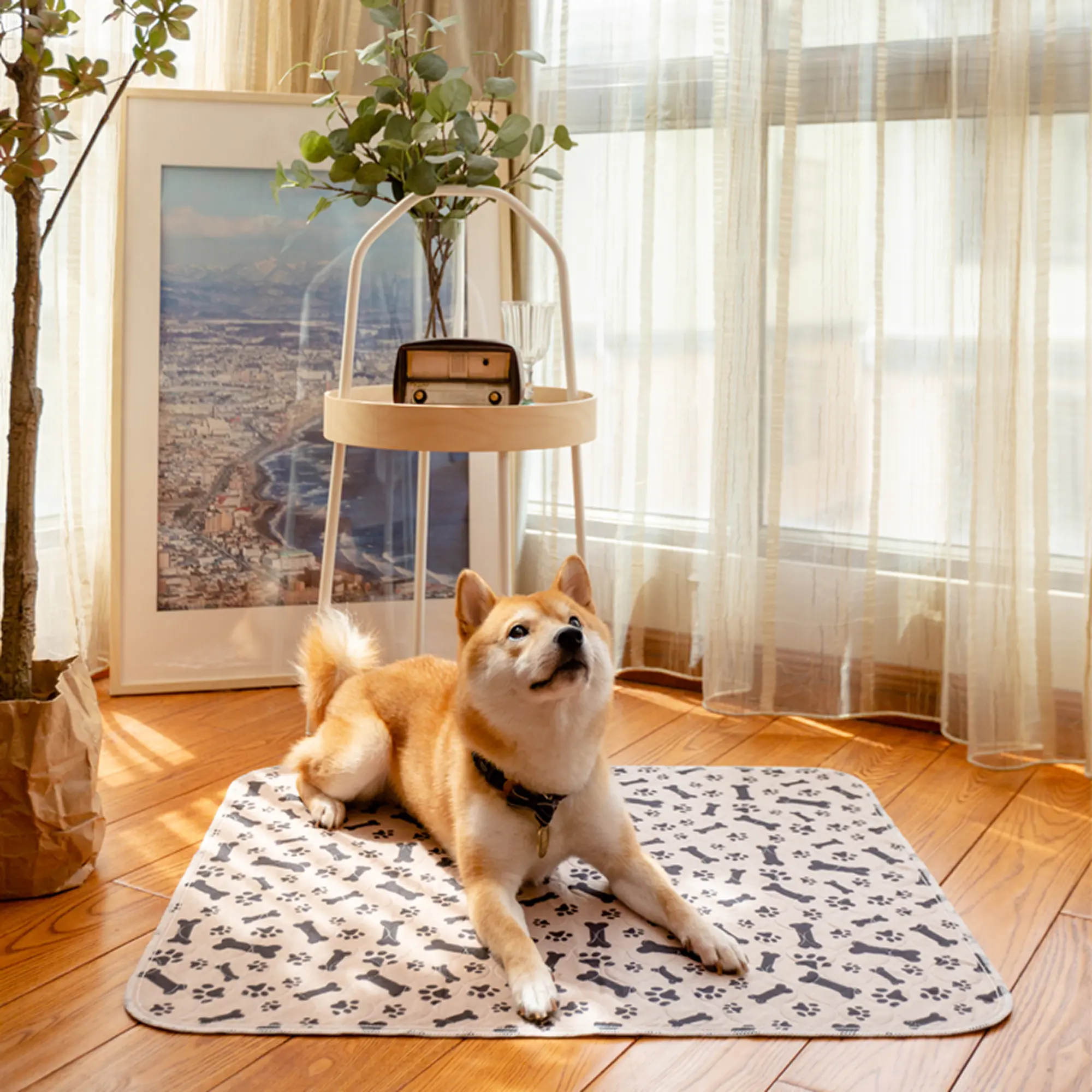 Tiktrove pet pee pad - Image 13