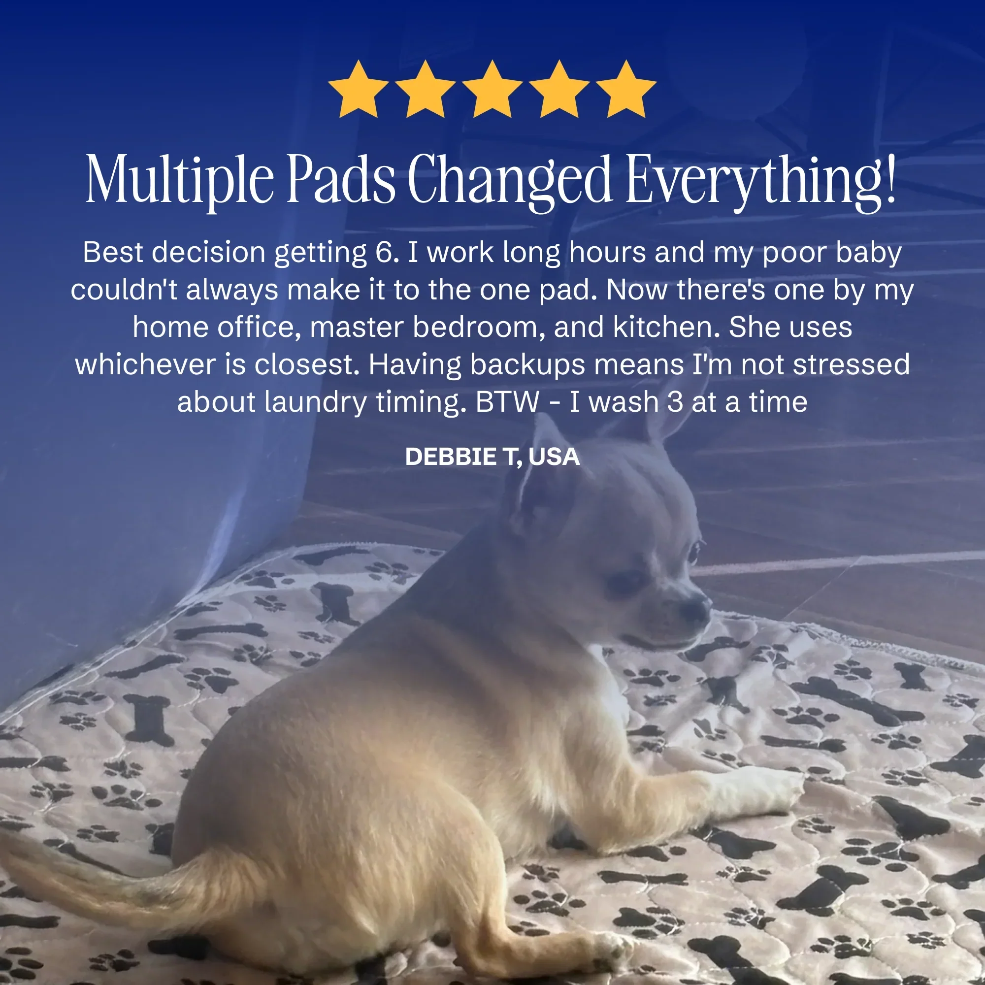 Tiktrove pet pee pad - Image 14
