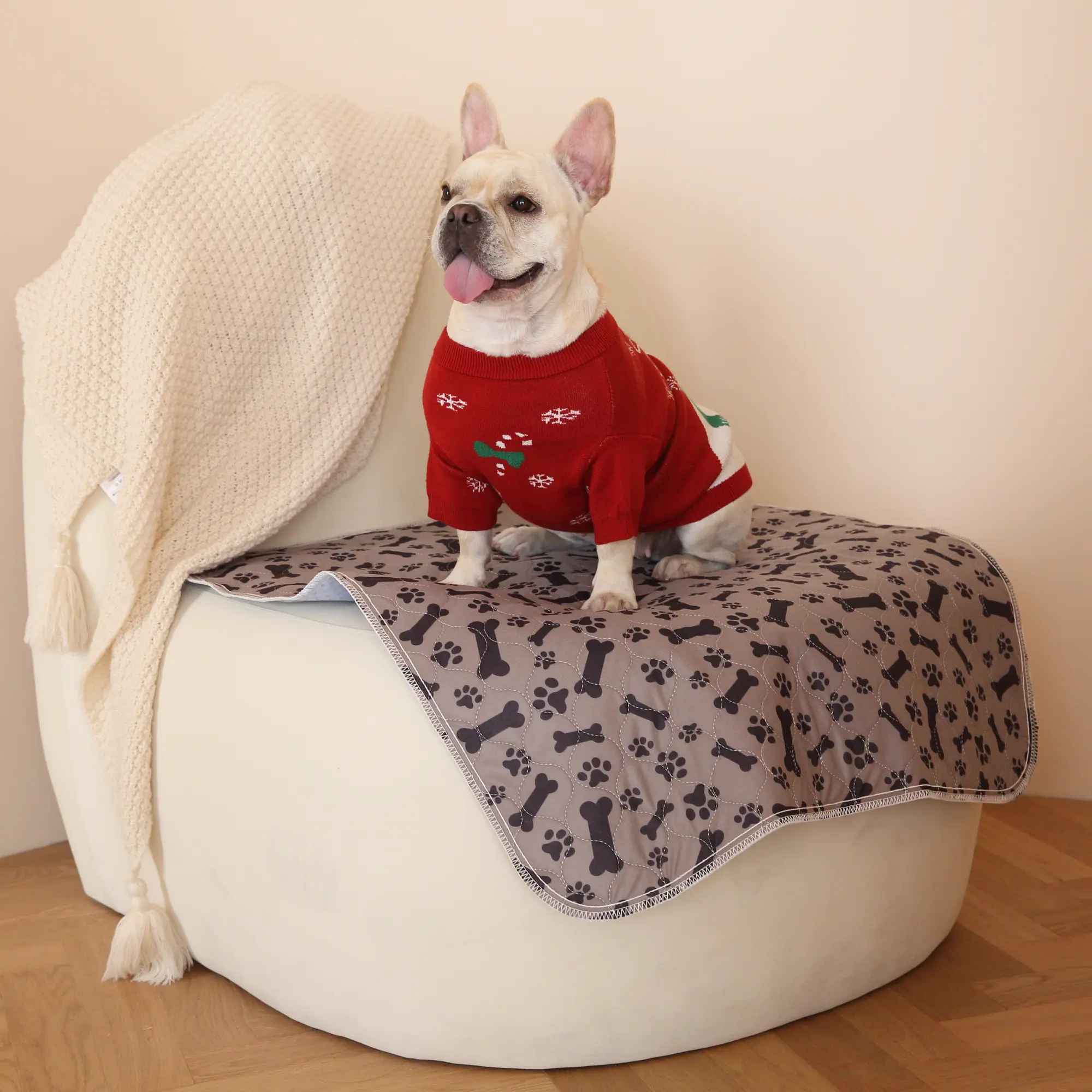 Tiktrove pet pee pad - Image 15
