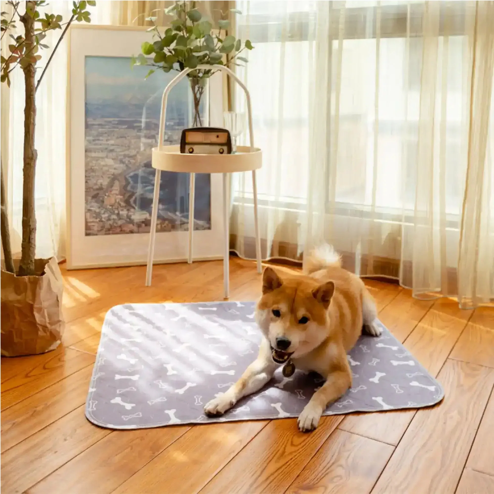Tiktrove pet pee pad - Image 3