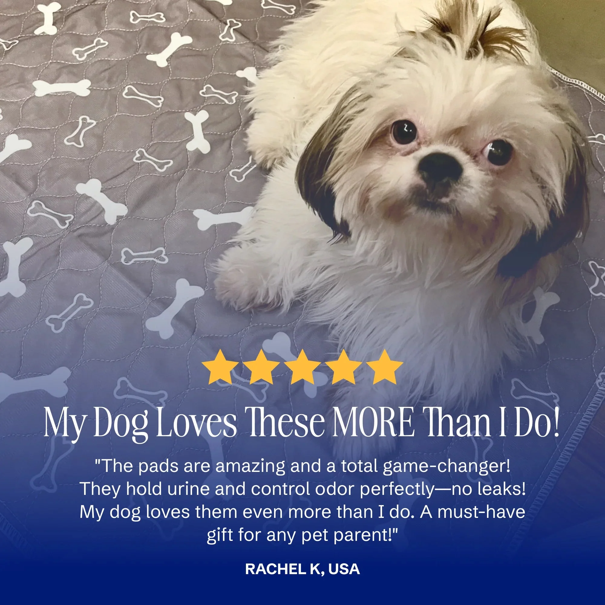Tiktrove pet pee pad - Image 8