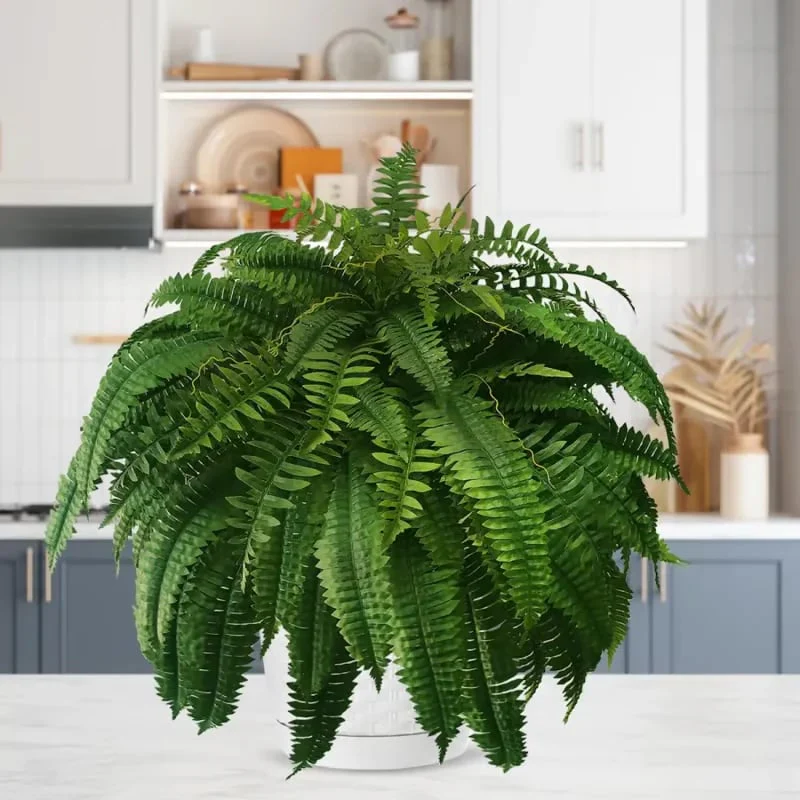 🌿UV Resistant Lifelike Artificial Boston Fern - Image 3
