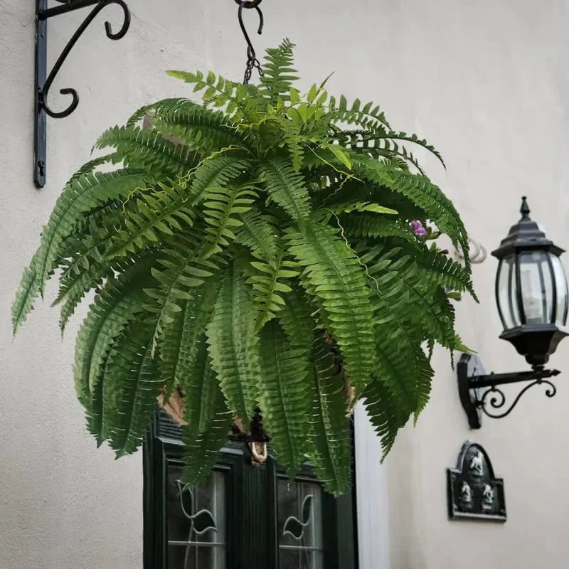 🌿UV Resistant Lifelike Artificial Boston Fern - Image 4