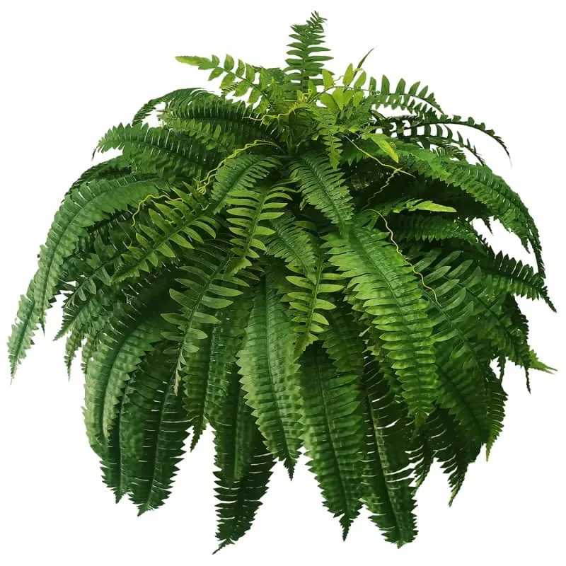 🌿UV Resistant Lifelike Artificial Boston Fern - Image 5
